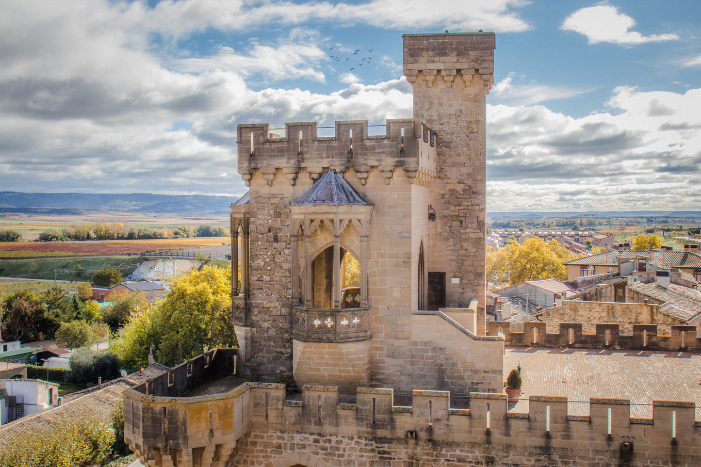 Carcassonne Aude Occitanie France medieval cite of Carcassonne Castle and Ramparts Tower point of view