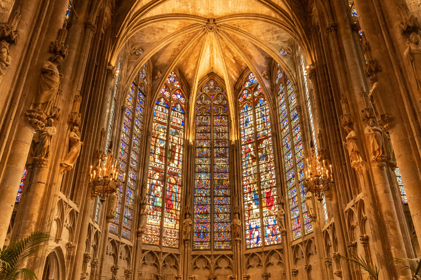 carcassonne medieval citadel city Occitanie France Saint-Nazaire basilica windows glasses art gothic